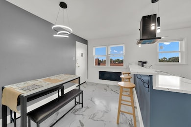 7932 S Pulaski Rd unit 301, Chicago, IL 60652 - photo 6