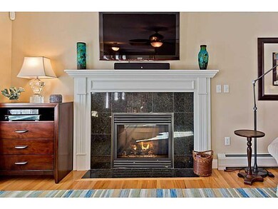 Living Room. Fireplace