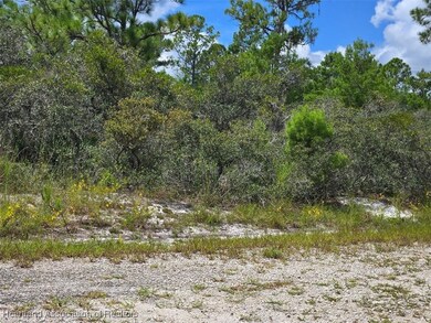 1148 Redbird St, Lake Placid, FL 33852 - photo 4