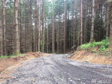 7231 184th St NW, Stanwood, WA 98292 - photo 5