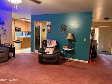 586 N Carolina Highway 343 S, Camden, NC 27921 - photo 4