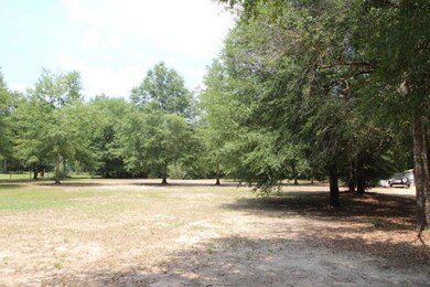 Backyard2