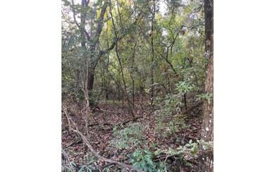 0 SW Iowa Dr unit 121111, Fort White, FL 32038 - photo 4