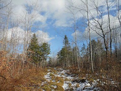 M2 L42 E Ridge Road (Off), Cornville, ME 04976 - photo 6