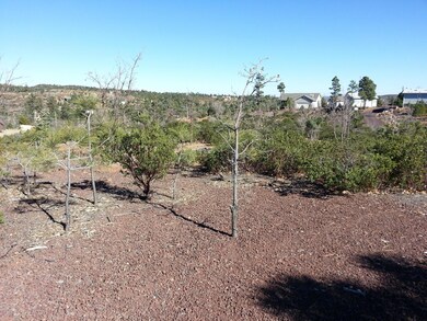 6250 Bull Elk Run unit 314, Show Low, AZ 85901 - photo 7