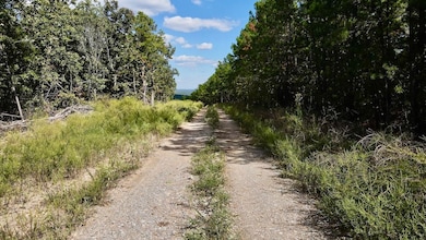 0 Aslin Prairie Rd unit 22990166, Talihina, OK 74571 - photo 6