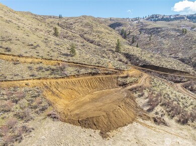 229 Juniper (Lot 2) Ln, Monitor, WA 98836 - photo 6