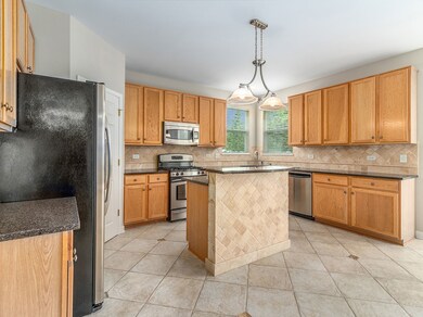 24206 Apple Tree Ln, Plainfield, IL 60585 - photo 6