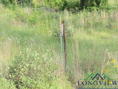 View of undeveloped land