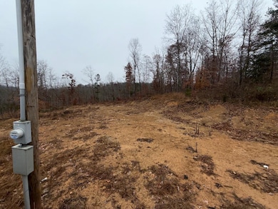 699 Wolf Rd, Upper Tygart, KY 41164 - photo 7