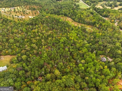 6418 Dawsonville Hwy, Dahlonega, GA 30533 - photo 4