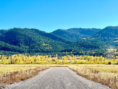 Canyon Wren fall photo6