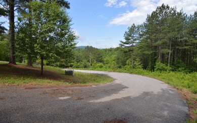 LOT 50 Pinehurst Rd, Blairsville, GA 30512 - photo 7