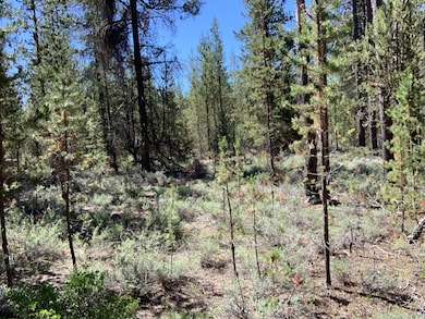 53620 Woodchuck Dr, La Pine, OR 97739 - photo 3