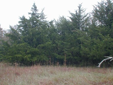 WOODS HAS A BLEND OF CEDARS AND HARDWOODS.