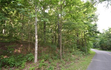 Additional View