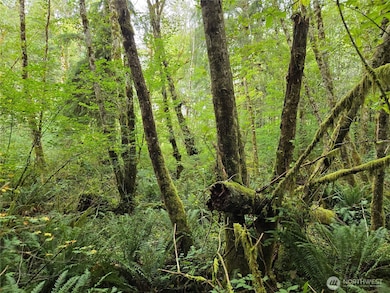 0 NKA Lund Rd, Cosmopolis, WA 98537 - photo 3