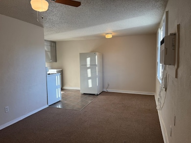10612 County Road 1020 unit A1, Burleson, TX 76028 - photo 2
