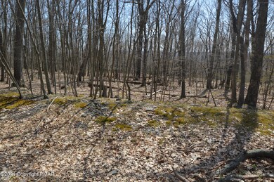 0 Lot 88 Pheasant Run unit PM-99812, Bushkill, PA 18324 - photo 4