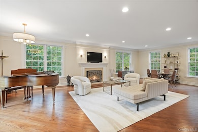 38 John Cross Rd, Mount Kisco, NY 10549 - photo 6