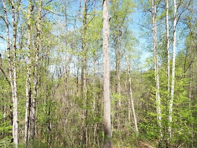 000 Bannick Springs Rd, Whittier, NC 28789 - photo 2