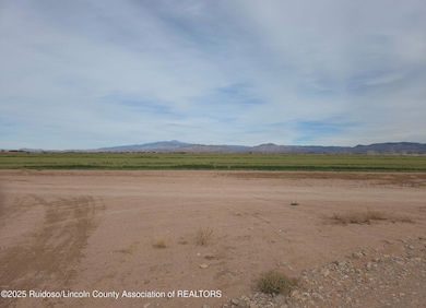 255 Tulie Gate Rd, Tularosa, NM 88352 - photo 6