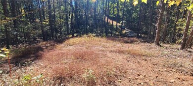 View from top of cleared area.