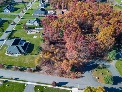 0 Dinis Ave unit 73053767, Ludlow, MA 01056 - photo 3