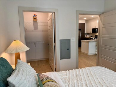 320 Goll St unit 2226, Kyle, TX 78640 - photo 6