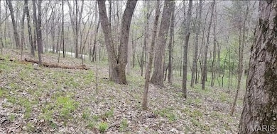 1500 Summit On Pond Ln, Glencoe, MO 63038 - photo 3