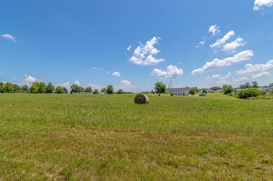 Lot 1 Leighs Way, Reeds Spring, MO 65737 - photo 6