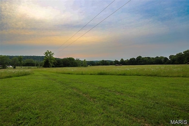 10102 Highway 67, Fredericktown, MO 63645 - photo 6