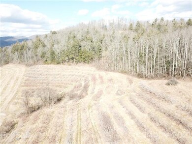 999999 Chimney Rock Rd, Hendersonville, NC 28792 - photo 5