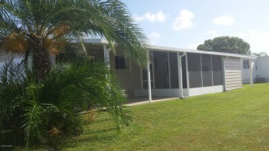 wedelia side
