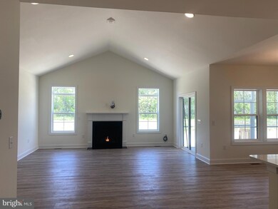 27007 Whistling Duck Way, Milton, DE 19968 - photo 4