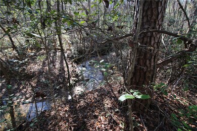 creeks on property