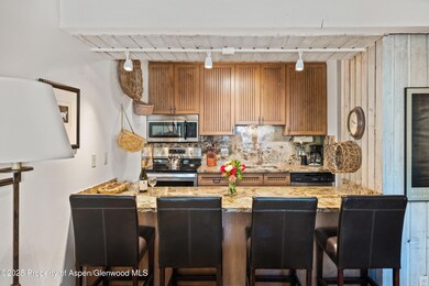 131 E Durant Ave unit 202, Aspen, CO 81611 - photo 6