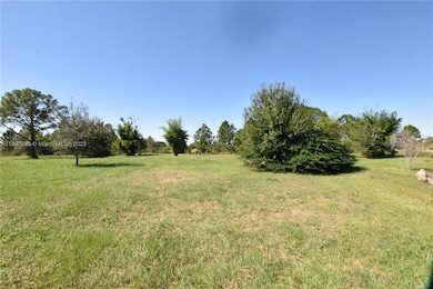 18036 NW 272nd St, Okeechobee, FL 34972 - photo 6