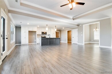 Living Room and Kitchen