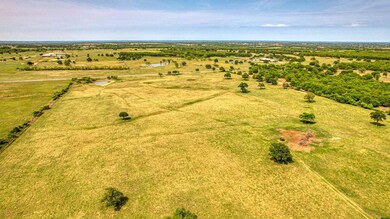 Lot 2 Cottonwood Trail, Poolville, TX 76487 - photo 6