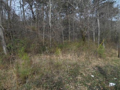 Terry MIles property 006
