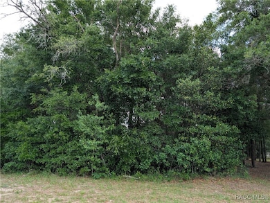 8246 N Golfview Dr, Citrus Springs, FL 34434 - photo 7