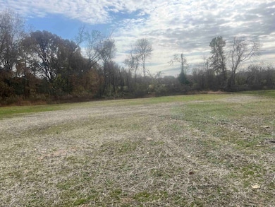 00 Scholes Ln, Stanton, TN 38069 - photo 3