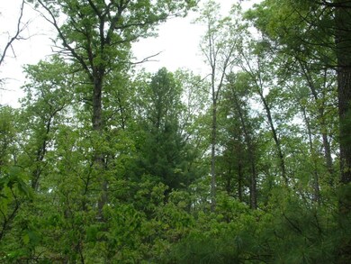 DSCF0110