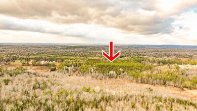 dji_fly_20251115_011908_633_176316042462