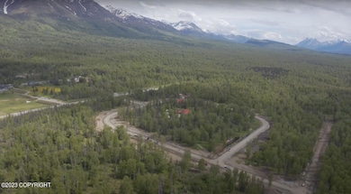 10688 Hatcher's Flight Loop, Palmer, AK 99645 - photo 2