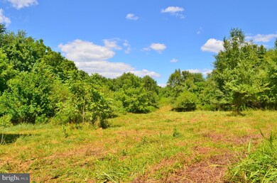 95 Rockville Rd, Quicksburg, VA 22847 - photo 4