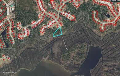 606 Needlerush Rd, Sneads Ferry, NC 28460 - photo 5