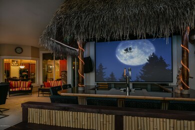 44-Movie at Tiki Bar