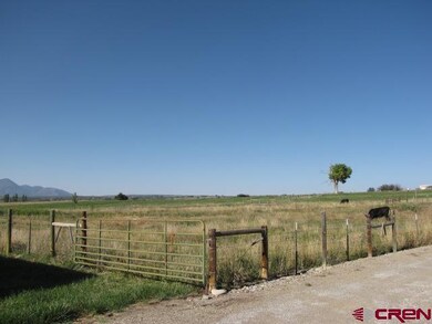 15829 Road 22, Dolores, CO 81323 - photo 5